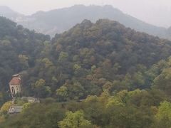 -大金鹰园