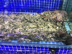 -青蓬蒸汽海鲜·深圳老字号·团建聚会(壹方城店)