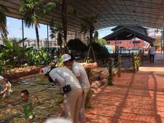 -平江亚马逊水上乐园