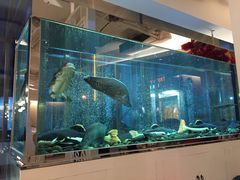 -衡山汇·高级粤菜(霄云路店)
