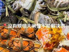 -阳澄湖半岛旅游度假区