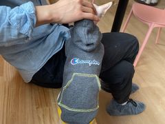 -猫腻·猫咖·撸猫馆(星光大道店)