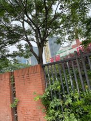 -禾丽康美医疗美容医院