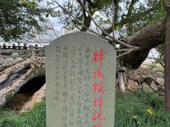 -江心屿景区