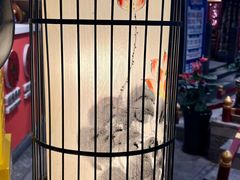 -蜀江龙火锅(339店)