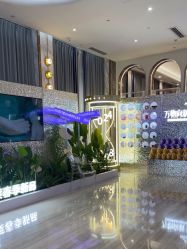 -深圳美莱医疗美容医院