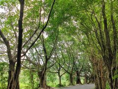 -李小龙乐园(顺德均安店)