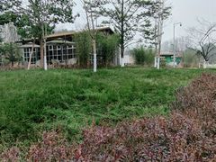 -桤木河湿地公园