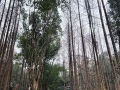 -东湖落雁景区