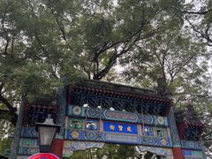 -北京国子监胡同