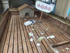 -王府井奥莱临潼小镇(临潼店)