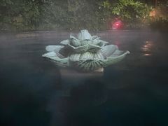 -杭州第一世界大酒店·云曼温泉