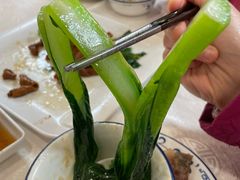 -津津菜馆(绝没分店)