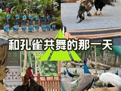 -西双版纳傣族园