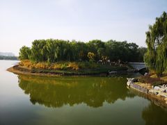 -大兴滨河森林公园