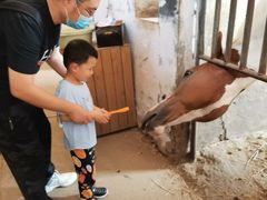 -月河湾马术俱乐部(朝阳店)