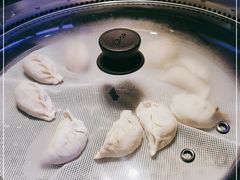 -挂雪铁锅炖大鹅
