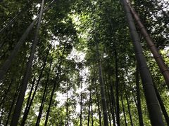 -龙寺生态园