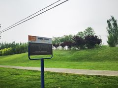 -瀛海足球主题公园