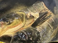 -好灶头妈妈菜·千岛湖土菜地标美食