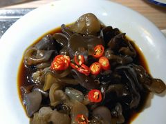 凉拌木耳-探窝·竹笙椰子鸡(杨箕店)