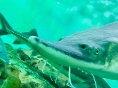 -太平洋海底世界