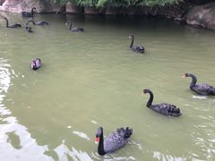 -南昌动物园