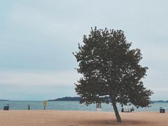 -青岛第一海水浴场