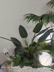 -HEYAN荷妍专业脱毛连锁机构