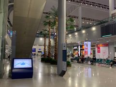-合肥新桥国际机场-航站楼