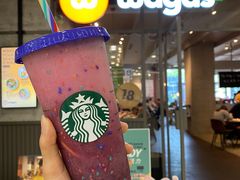 -Wagas沃歌斯(汇智店)