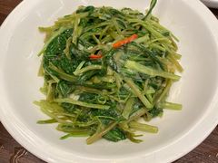 -新旺茶餐厅(鑫耀·光环live店)