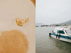 -北岐滩涂