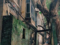 -小洲村