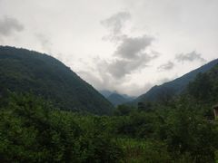 -黑河国家森林公园