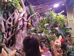 -正佳雨林生态植物园