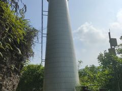 -羚羊峡古栈道森林公园