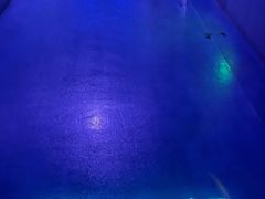-白鹤梁水下博物馆