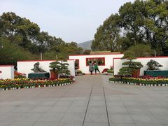 -南山植物园