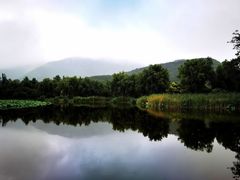 -国家植物园南园