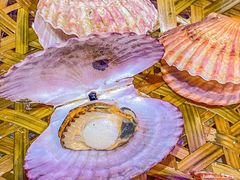 -蚝堡海鲜·威海菜·海肠捞饭·烧烤·亚洲吃蚝公司(幸福门店)