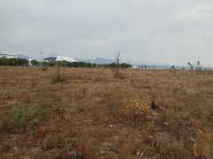 -敕勒川草原