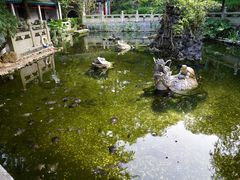-国恩寺