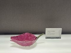 -景德镇中国陶瓷博物馆