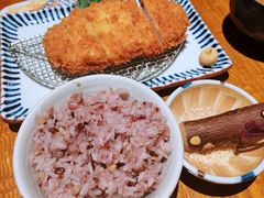-堂本家洋食别馆·炸猪排(中心城店)