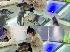 -极木²邸 人与宠物·互动社区