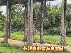-海南热带野生动植物园