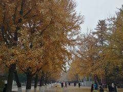 -辽宁大学(崇山校区)