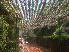 -郑州方特梦幻王国