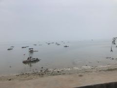 -北海金海湾红树林生态旅游区